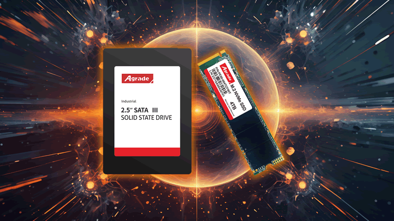 SSD20241119